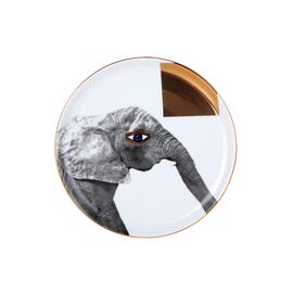 Тарелка мелкая 20 см Wild Life Elephant, WILD LIFE, Porland