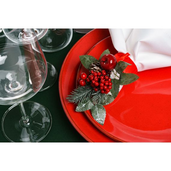 Блюдо прямоугольное 35х16 см, Seasons Красный, Porland, изображение 13