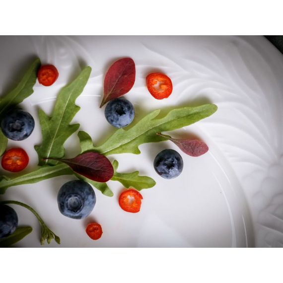 Тарелка обеденная 28 см, Feniks Alumilite, Porland, изображение 21