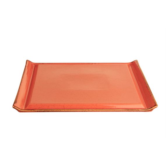 Блюдо для стейка 32х26 см, Seasons Оранжевый, Porland, изображение 2