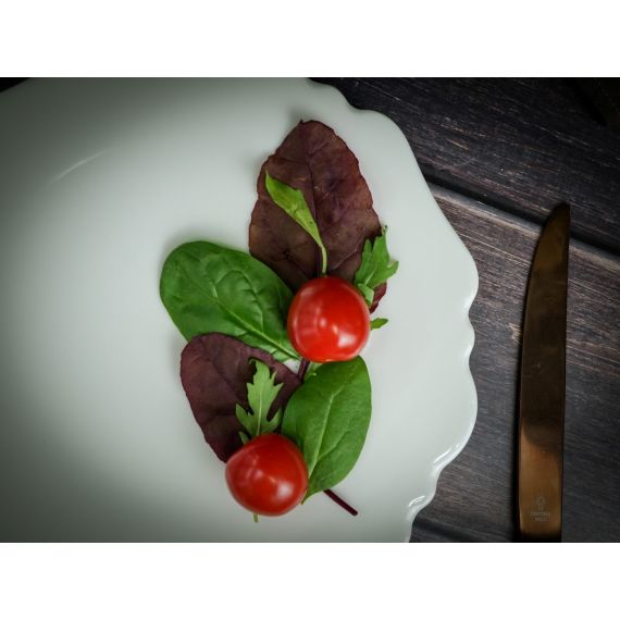 Тарелка мелкая 21см, серия TIDE, Porland, изображение 3