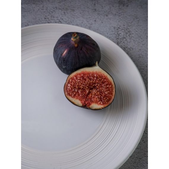 Тарелка мелкая d 19,5 см, h 2,5 см, фарфор, Linea, Casa di fortuna, изображение 5